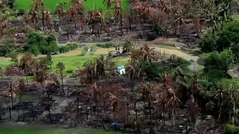 রাখাইনে রোহিঙ্গাদের জমিতে বন্দিশিবির-সামরিক ঘাঁটি বানাচ্ছে আরাকান আর্মি
