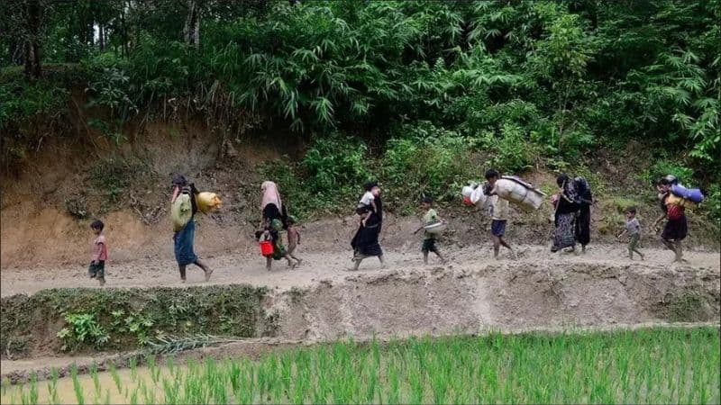 স্বেচ্ছায় মিয়ানমারে ফিরলেন ৮২ রোহিঙ্গা, আরও ৪০ জন অপেক্ষায়