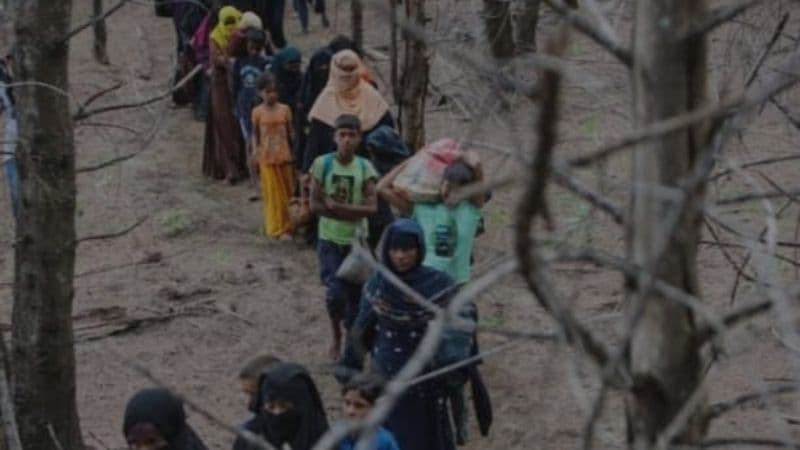 বাংলাদেশমুখী ১০০ রোহিঙ্গাকে ফেরত পাঠিয়ে বিশ্বকে নতুন বার্তা ঢাকার